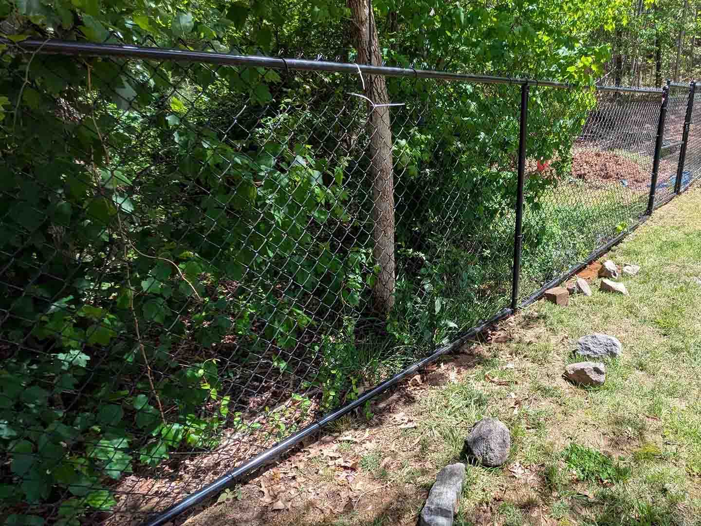 Photo of a Fort Mill SC chain link fence